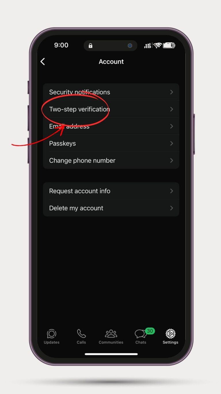 prevent whatsapp hacking