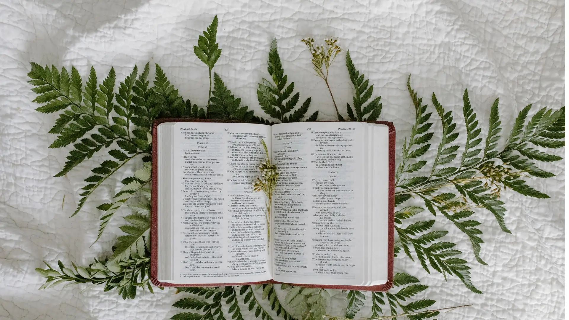Close-up image of an open Bible with highlighted verses on generosity